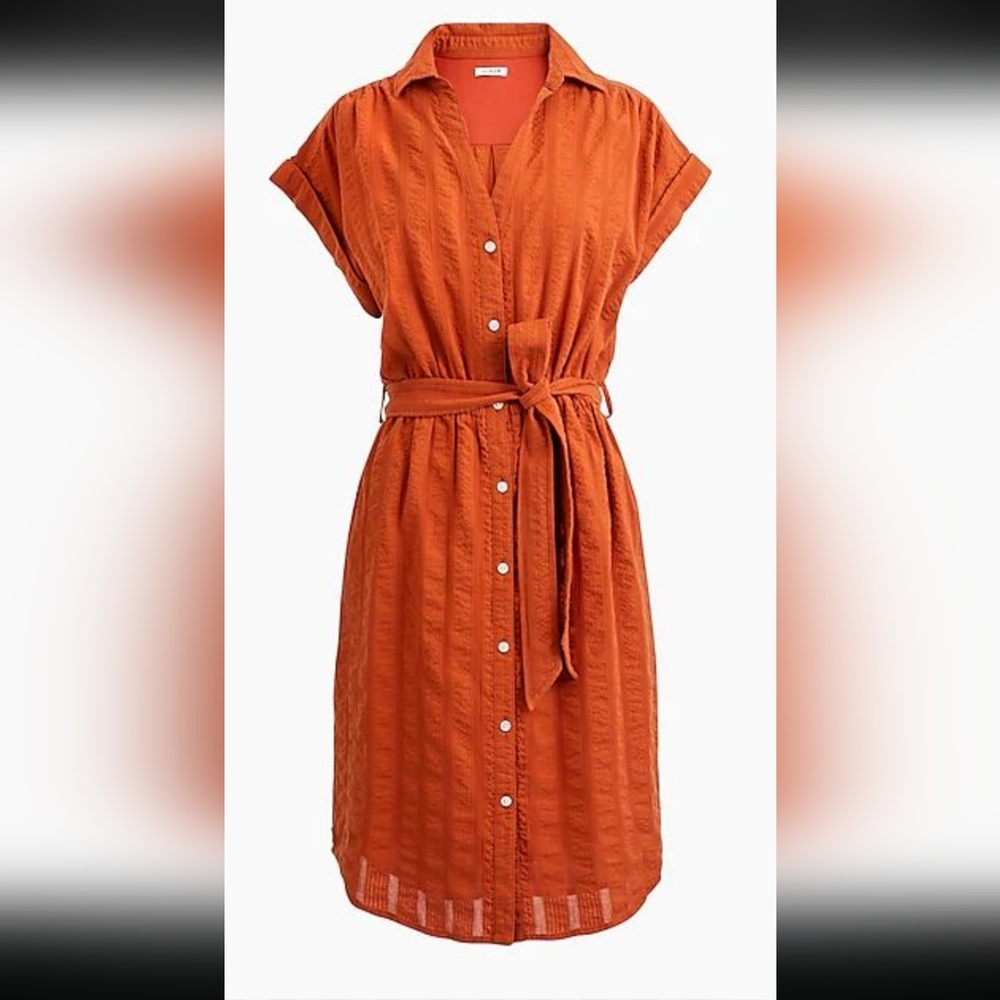 JCrew Factory Shirt Dress